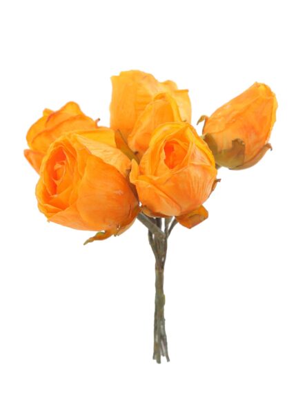 Capullo envejecido de rosas color Mostaza - Imagen 1