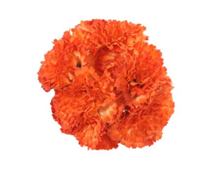 Ramillete de claveles de color Naranja - Imagen 1