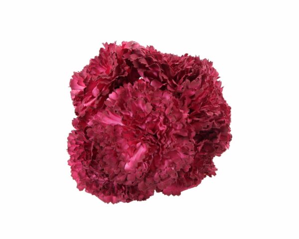 Ramillete de claveles de color Rojo Tinto