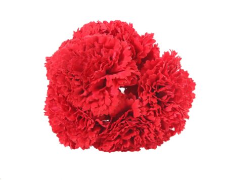 Ramillete de claveles de color Rojo