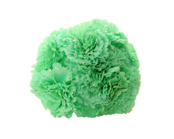 Ramillete de claveles de color Verde Agua