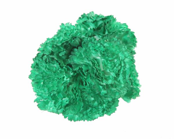 Ramillete de claveles de color Verde Andalucía
