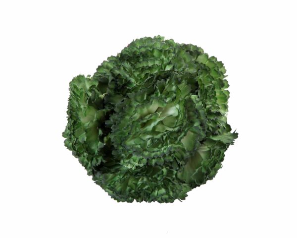 Ramillete de claveles de color Verde Caqui