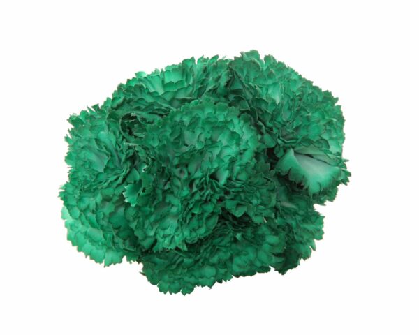 Ramillete de claveles de color Verde Esmeralda