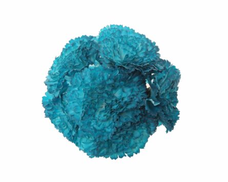 Ramillete de claveles de color Azul Zafiro - Imagen 1