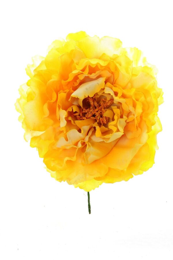 Flor peonia amarillo