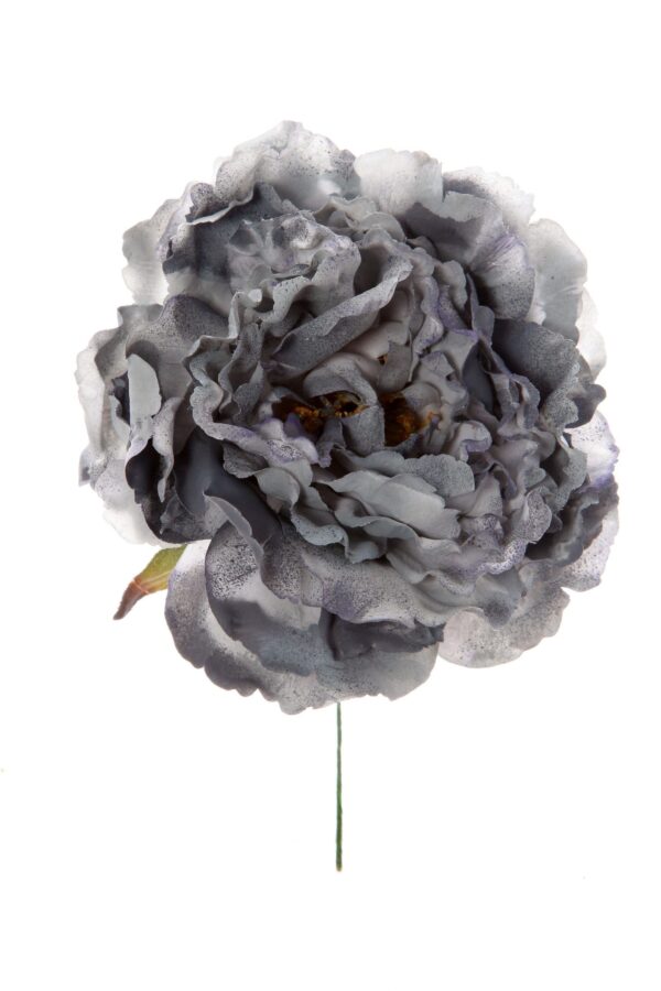 Peonia de flamenca colo gris con reflejos plata