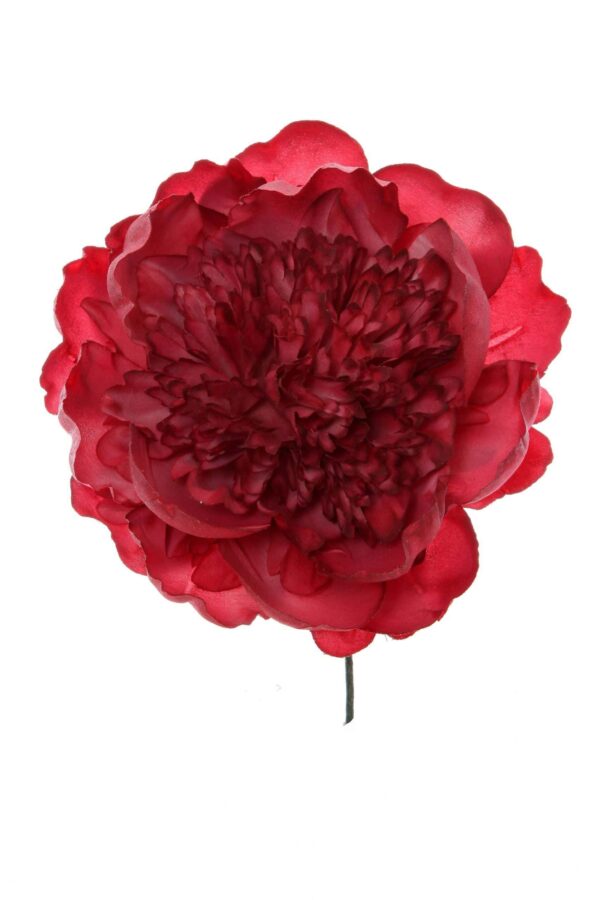 Peonia rizada carmín