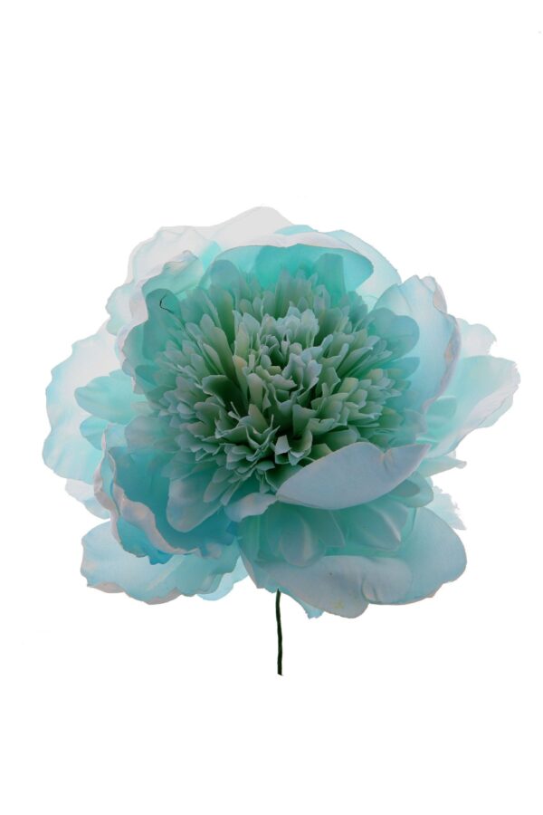 Peonia rizada celeste