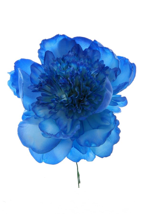 Peonia rizada color azulina