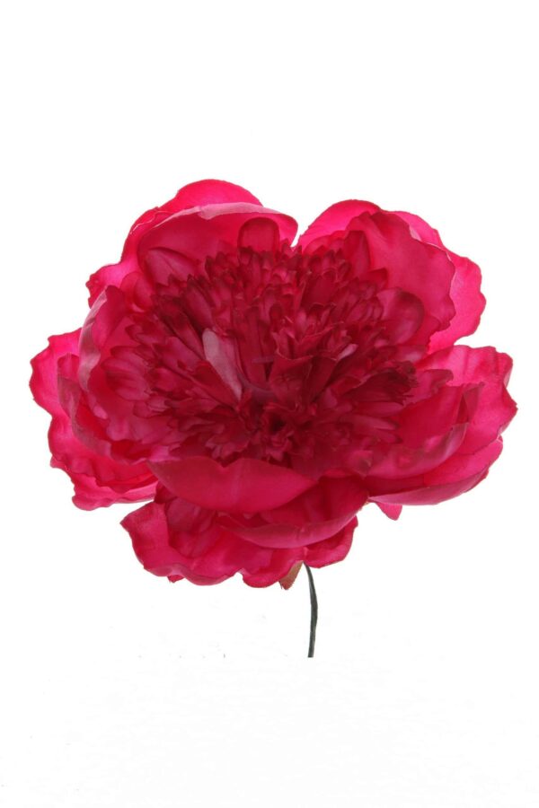 Peonia rizada color cardenal
