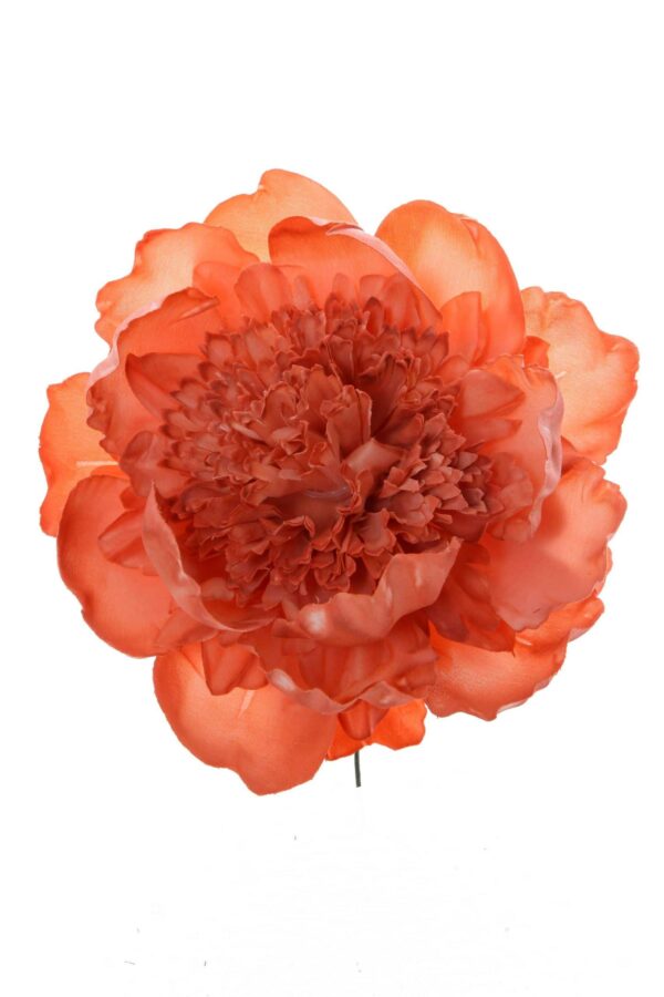 Peonia rizada color coral oscuro