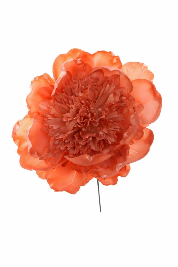 Peonia rizada coral claro