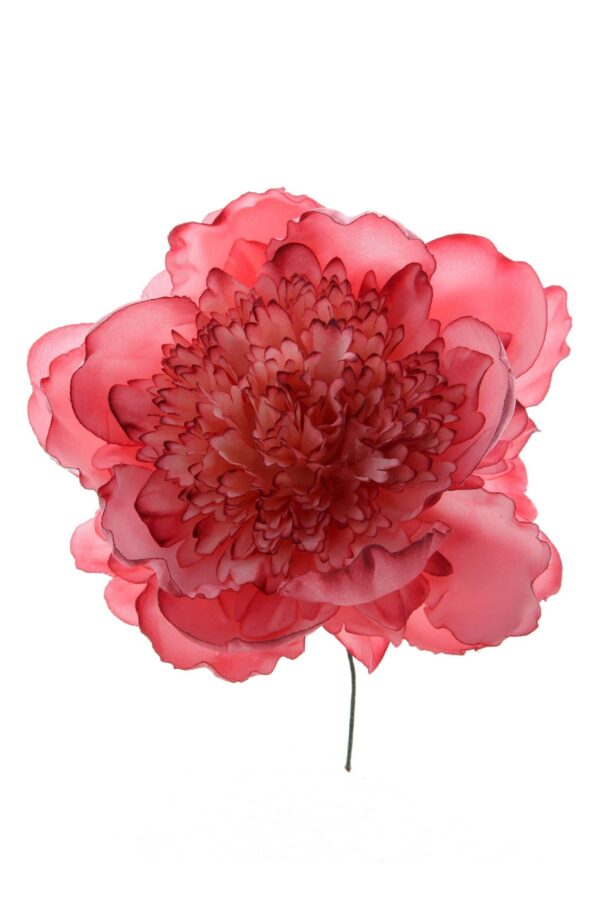 Peonia rizada maquillaje