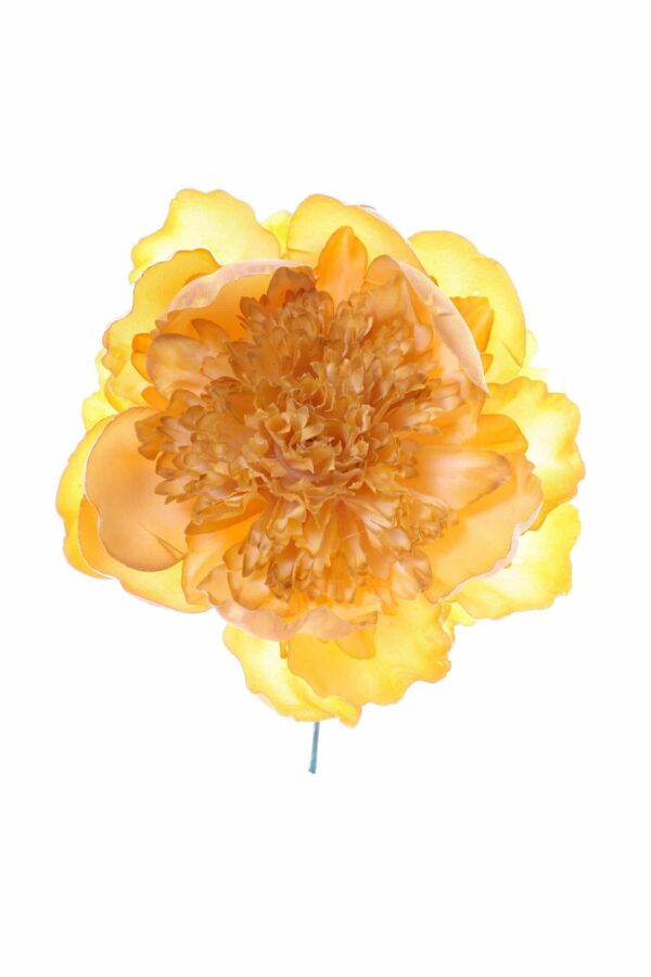 Peonia rizada mostaza