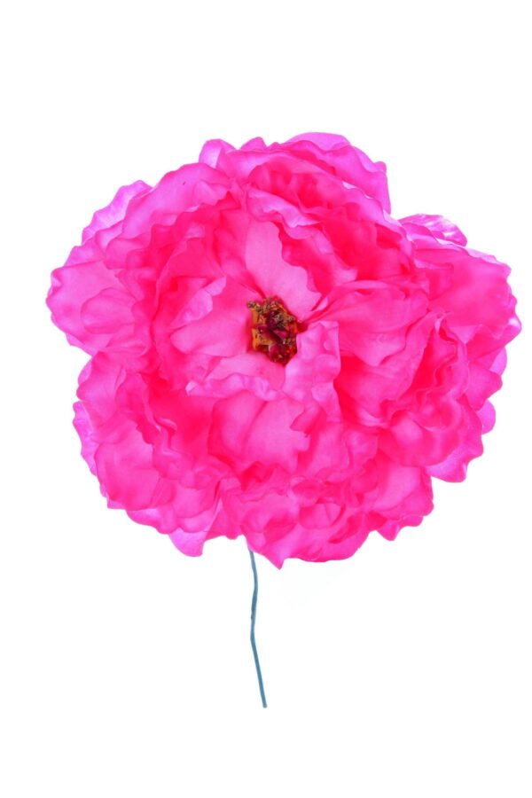 Peonia de flamenca rosa chicle