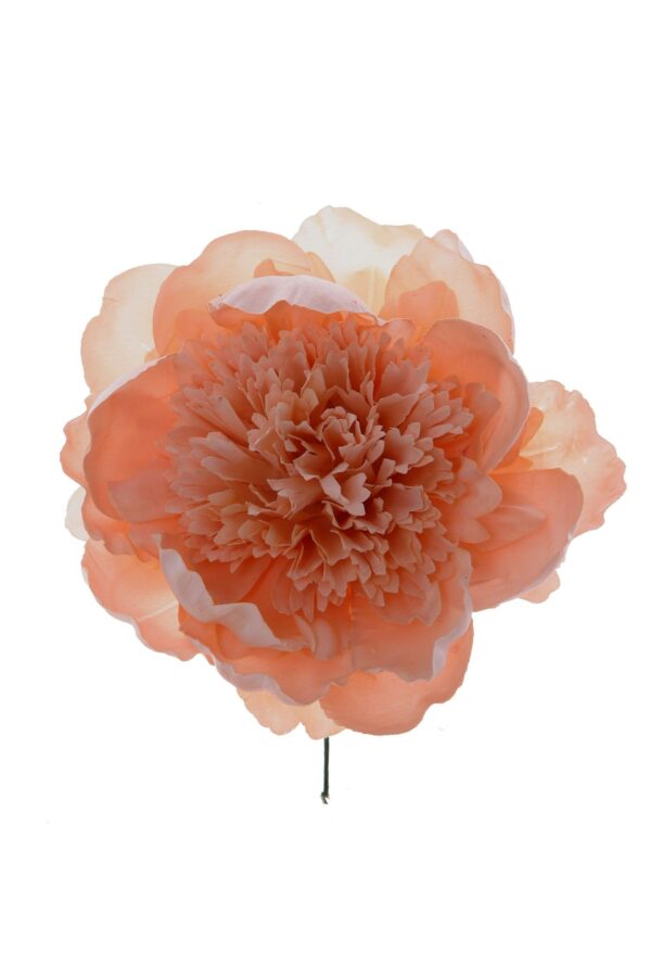 Peonia rizada rosa claro