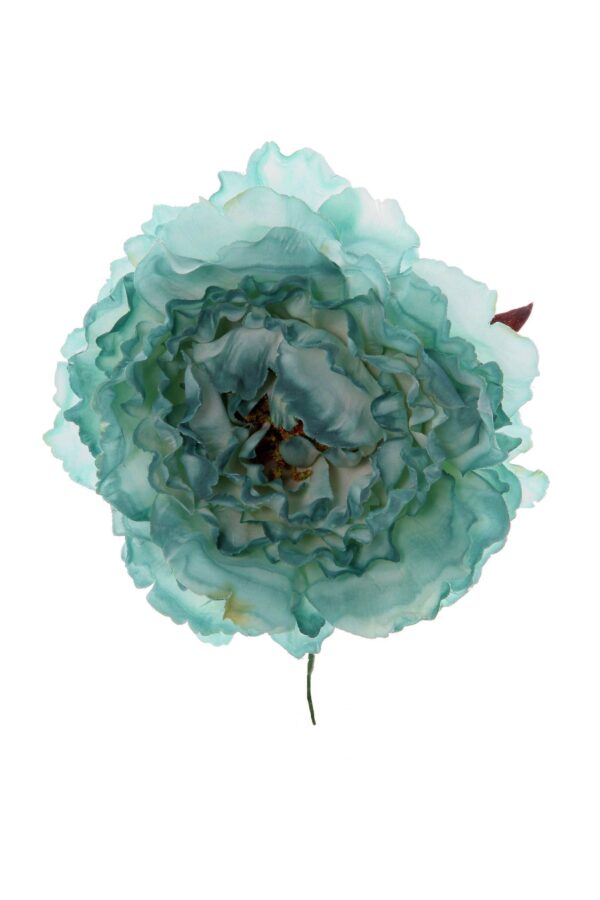 Peonia rizada verde agua