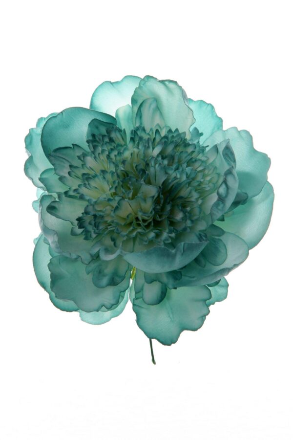 Peonia rizada verde agua degradé