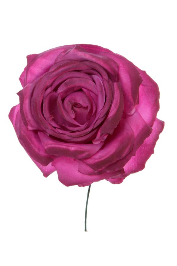 Rosa de flamenca buganvilla