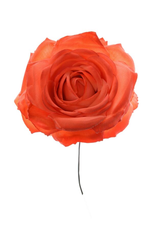Rosa de flamenca color coral