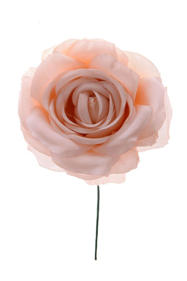 Rosa de flamenca color crema