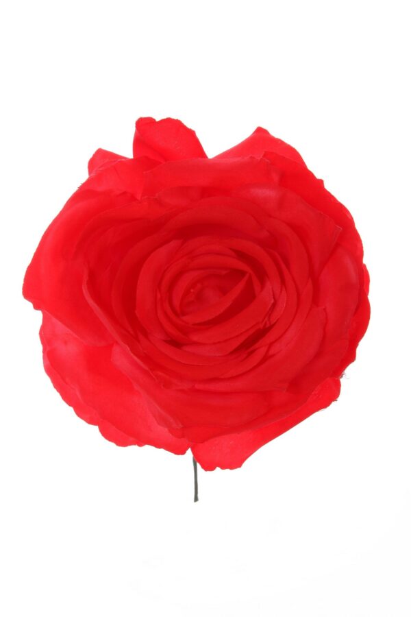 Rosa de flamenca color rojo