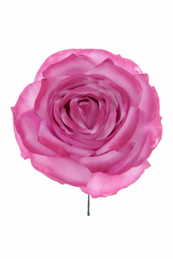 Rosa de flamenca malva antiguo